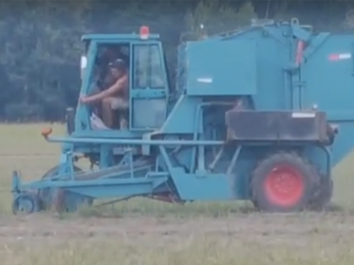 自走式麻機現(xiàn)場作業(yè)